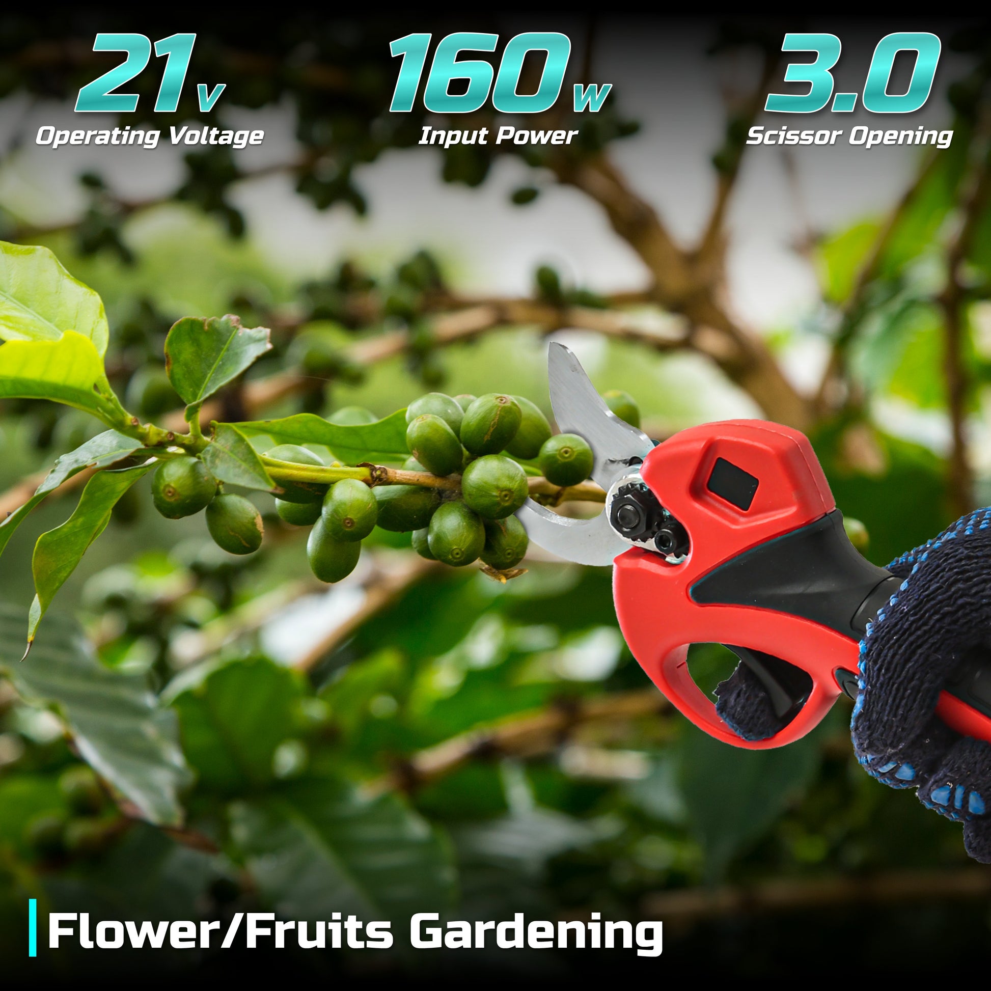Drive Cataloging Sync